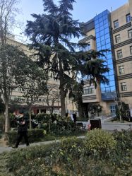 -河南中医药大学第一附属医院-医疗整形