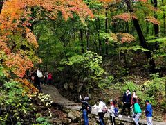 -五女山景区