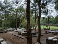 -南宁良凤江国家森林公园