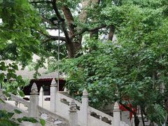 -红螺寺