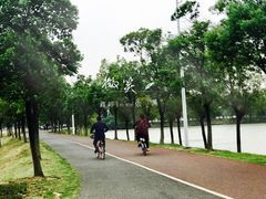 -艾溪湖湿地公园