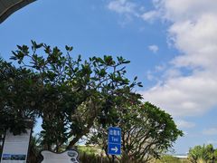 -星巴克(三亚海棠湾国际免税城店)