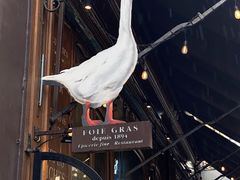 -Le Comptoir de la Gastronomie
