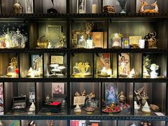 -雪灵魔法世界SHELLY’S TAROT(大良桂畔里店)