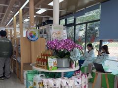 -中国农业大学动物医院
