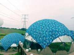 -紫颐香薰山谷景区