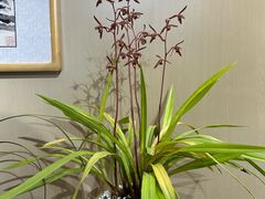 -北京植物园-展览温室