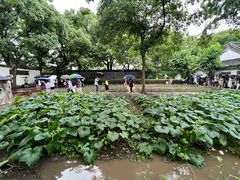 -绍兴鲁迅故里·沈园景区