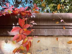 -春晖园度假酒店温泉