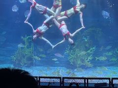 -泉城欧乐堡海洋极地世界