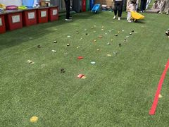 -金子小一一儿童军校幼儿园(德望里分园)