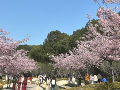 -新江湾城公园