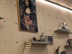 -飞行喵MR PILOT|猫舍·猫咖(静安大融城店)