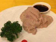 肚子-新聚丰菜馆(太监弄店)