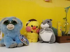 -志龙皇冠吃货椰子铺