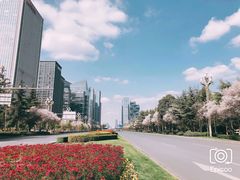 -成都当代美术馆