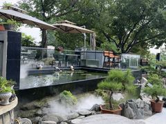 -蘇河湾·新鲁菜·泰山宴(泰山店)