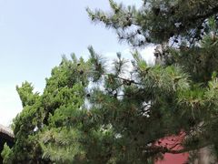 -大钟寺古钟博物馆