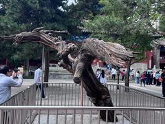 -大钟寺古钟博物馆