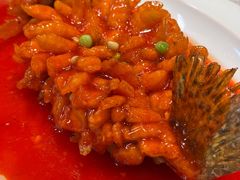 松鼠桂鱼-丁老爷子苏香圆