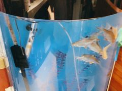 -北方饺子王·海肠捞饭·海鲜锅(山大店)