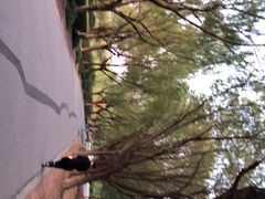 -东华大学(松江校区)