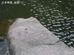 -蛇蟠岛