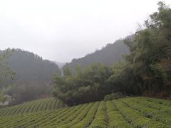 -敬亭山风景名胜区