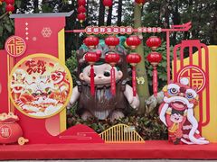 -深圳野生动物园
