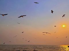 -大理洱海