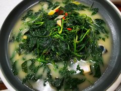 绿树叶-德云居