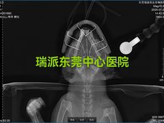 -东莞宠友24H宠物中心医院·转诊夜诊·异宠(新河北路院)