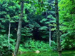 -洛阳白云山景区