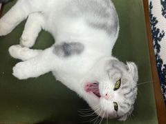 -seeu coffee(江滩店)