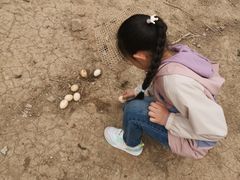 -甜心庄园·甜心草莓采摘园(西青中北店)