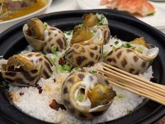 -吴记富苑(朝阳店)