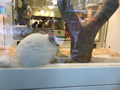 -龙猫仔乐园(惠福东路店)