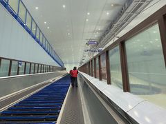 -哈尔滨热雪奇迹