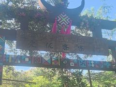 -西双版纳原始森林公园
