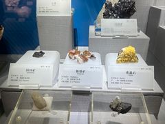 -湖南省地质博物馆