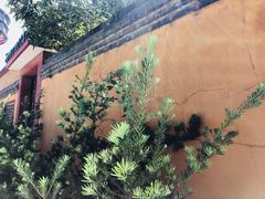 -高旻寺