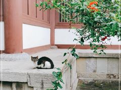 -西安青龙寺遗址景区
