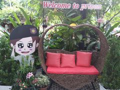 -清迈女子监狱马杀鸡(无分店)