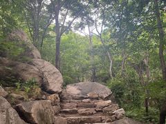 -大岭沟猕猴桃谷风景区