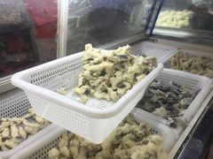 -登兴鱼丸