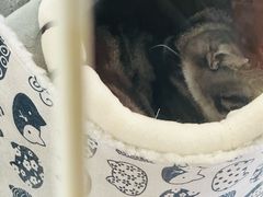 -情忆草原涮肉馆