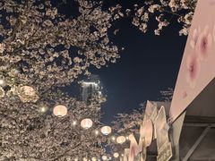 -麦悠悠·SPA·推拿(太阳山路店)