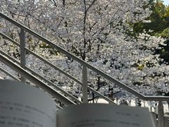 -IKEA宜家家居(南京商场)