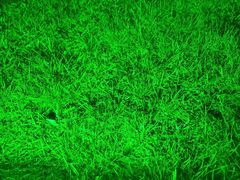 android_upload_pic-华臣影城