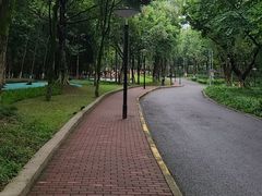 -重庆彩云湖湿地公园
